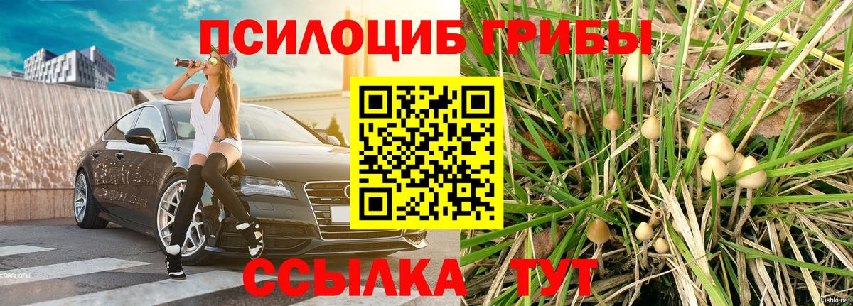 Псилоцибиновые грибы мицелий Воскресенск