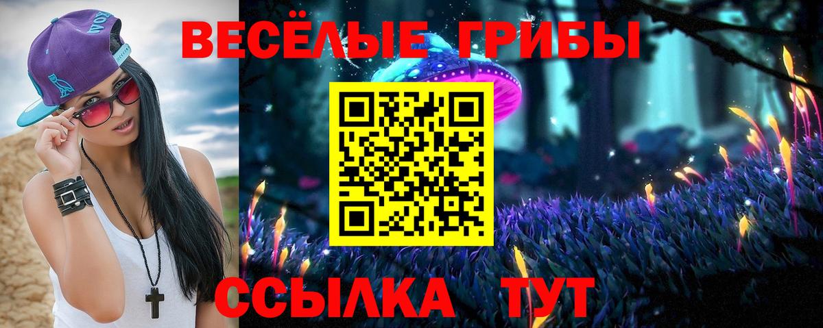 Псилоцибиновые грибы GOLDEN TEACHER  Галлюциногенные грибы Psilocybe  где найти наркотики  Воскресенск  Вход с VPN 